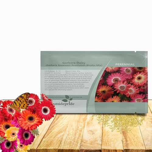 Outsidepride Bicolor Mix Gerbera Seeds - 10 Pcs Perennial, Compact & Low Maintenance, Flower Seeds for Planting w/Vibrant Mixed Blooms, Ideal for Garden Landscaping & Cut Flower Arrangements