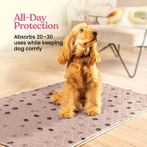 Image of Super Absorbent Washable Pee Pads for Dogs - 2-Pack Superior Reusable Puppy Pads Pet Training Pads -100% Waterproof Dog Pee Pad Protects Against Urine Leakage Non-Slip Grip Prevents Slipping& Bunching