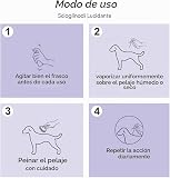 Ver la foto 3