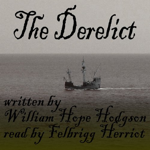 Cover art for The Derelict