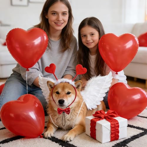 Disfraz San Valentín para perros con alas y diadema miniatura 7