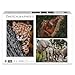 Produktbild Ambassador 7230787 Wildtier-Familien, 3x1000 Teile Puzzle-Set für Erwachsene und Kinder ab 10 Jahren, Photographer's Collection, Donal Boyd, Leopard, Orang-Utan, Elefant