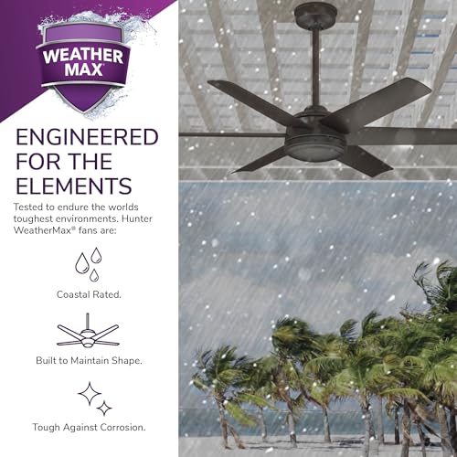 Image of Hunter Jetty, Outdoor or Indoor, Ceiling Fan, 52 inch, Noble Bronze
