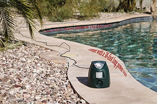 Cleanrth Tsbr620 Super Advanced Sonic/Ultrasonic Bird Repeller W/Triple Scan Technology #TOP2
