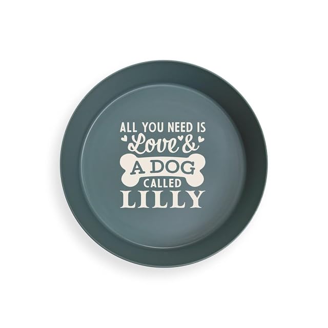 Foto 2 de 2 de Cuenco personalizado para perros (Lilly)