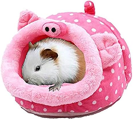 amazon guinea pig bed