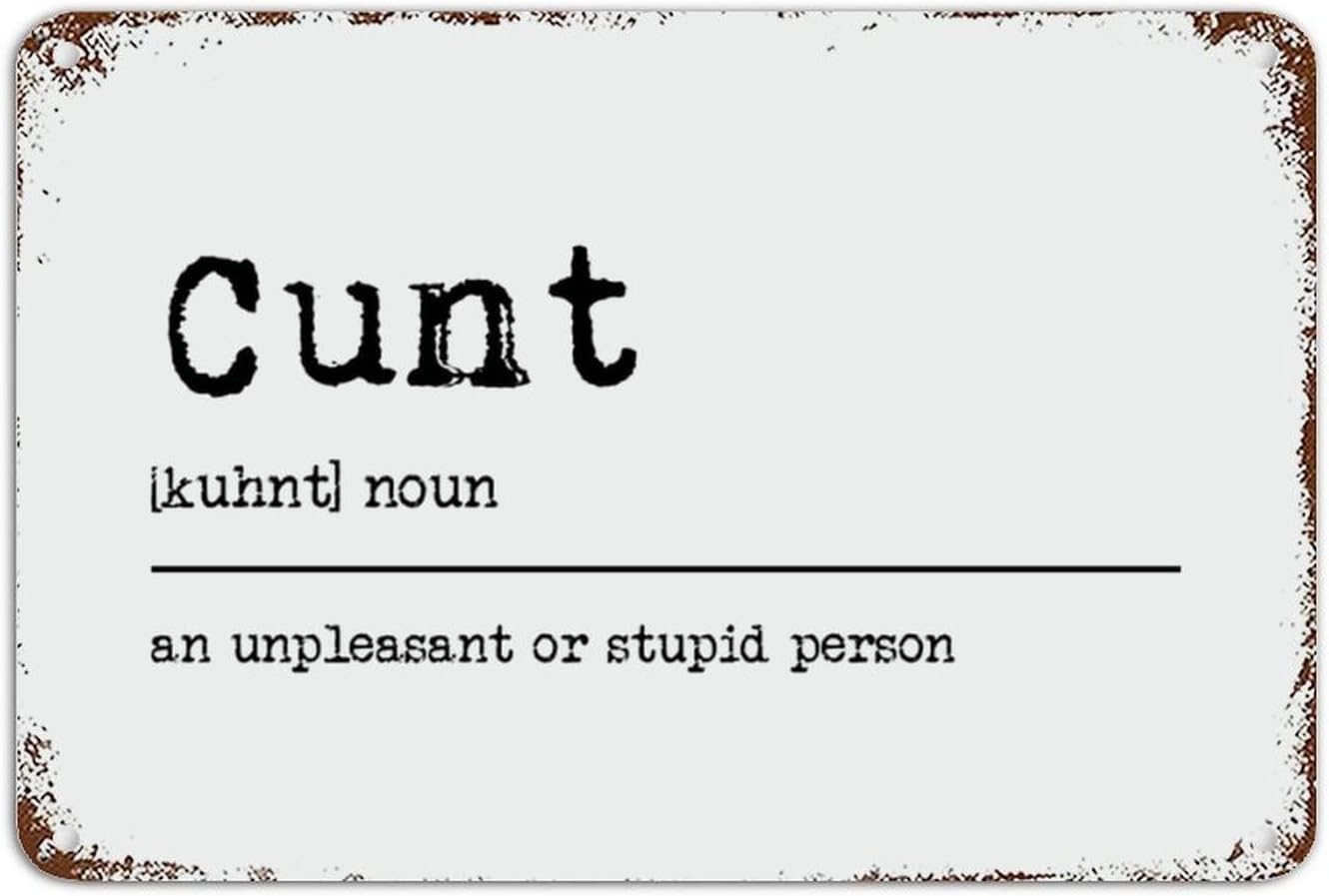 8x12in Chic Vintage Metal Signs Noun Definition Cunt