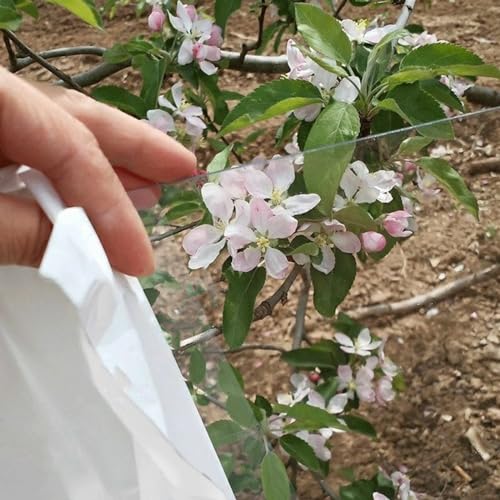 Clear Acrylic Plastic,Durable Lightweight Clear Acrylic Polycarbonate Roofing Sheet Strong Impact Transparent Panel for All Weather Outdoor Covering Greenhouse Pergola Patio (1x20m/3.3x65.6f - Image 2