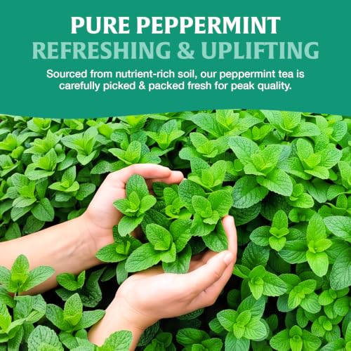 Image of HANDPICK Peppermint Tea (40 Tea Bags) Fresh Natural Mint Leaves, Non GMO