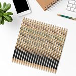 Aozora 100 Stylos à bille rétractables, encre noire, point moyen 1.0 mm, Pas de saignement, écriture lisse, stylos à cliquer, boîte de stylos