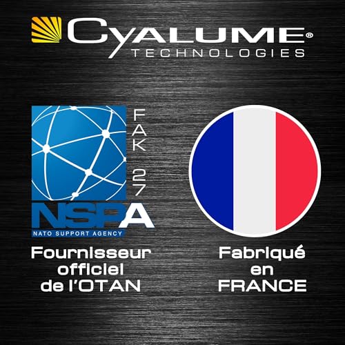 Cyalume SnapLight Knicklichter in weiß (10-er Pack) - 15 cm Glow Sticks mit Haken am Ende - ultra helle Light Sticks mit einer Leuchtdauer von 8 Stunden