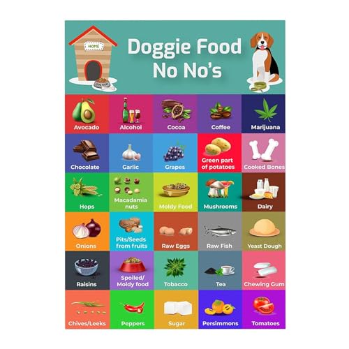 Sichere Hundediät – Sicherheitsratgeber mit 30 Lebensmitteln, bunter Magnet-Sicherheitsliste | Fütterungstabelle für Hunde, Tabelle mit Nahrungsmitteln, die Hunde nicht essen sollten, Bilder von Gesun