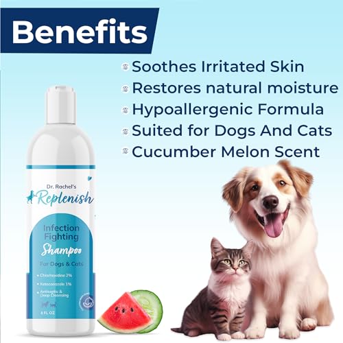 Replenish Skin Soothing Shampoo for Pets - Dr. Rachel\'s Ketoconazole and Chlorhexidine Pet Shampoo for Dogs Cats and Horses - Formulated for Dermatological Care - 8 oz