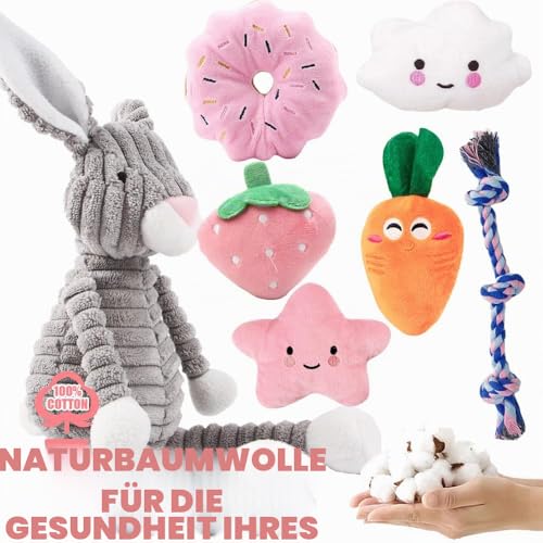 10Pcs Hundespielzeug für Kleine Hunde, Quietschende Plüsch Hundespielzeug Set, Welpe Zahnen Spielzeug Seil Ball, Unzerstörbar Hund Kauspielzeug, Hundespielzeug Geschenk für Kleine Mittlere Hunde