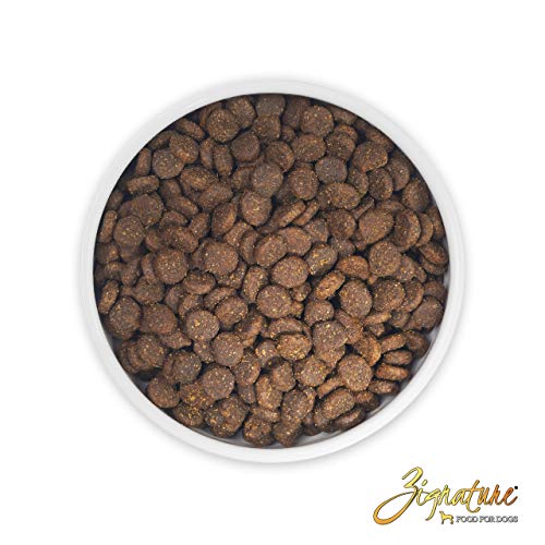 Zignature Select Cuts Trout & Salmon Formula Legume-Free Dry Dog Food 4lb