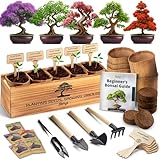 AVERGO Bonsai Tree Kit for Beginners – 5X Unique Japanese Bonzai Trees | Complete Indoor Starter Kit for Growing Bonsai Plants with Tools & Planters – Gardening Gifts for Women & Men