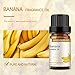 GREENSLEEVES Banana Essential Oil, 10ml Pure Plant-Based Fragrance Oil for Aromatherapy, Essential Oils for Diffuser, Air Freshener, Massage, Bath Bomb, Scented Candle Soap Making