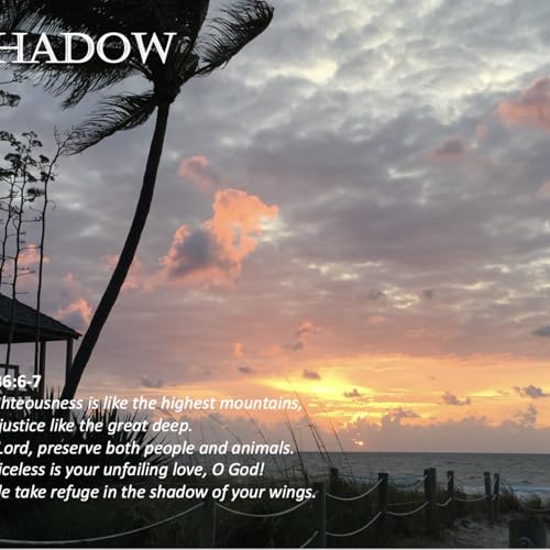 Episode 168: Promise #168 - Shadow