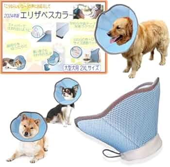 エリザベス様 リクエスト 2点 まとめ商品 51PRwGq9jDL._UF350,350_QL50_.jpg