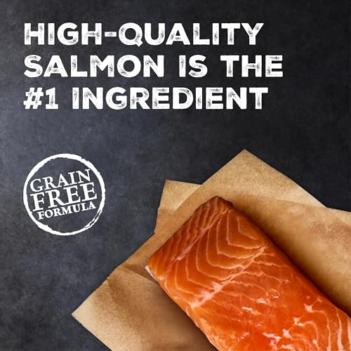 Image of Blue Buffalo Wilderness Kitten Grain-Free Salmon Pate Wet Cat Food with DHA, High-Protein & Made with Natural Ingredients, Supports Healthy Growth & Development, 3-oz. Cans (24 Count)