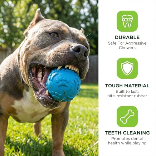 BRRDAQU 3 Stück Hundespielzeug Ball Unzerstörbarer Hundeball 6 cm Quietschball aus TPR Hund Kauspielzeug Schwimmfähig für Pool Training für Mittelgroße Und Kleine Hunde(Blau Rosa Grün)