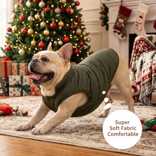 Image of JoyDaog Fleece Lined Dog Jacket for Small Dogs,Winter Dog Coat,Green S | Warm Windproof Puppy Vest for Cold Weather,Soft Cozy Doggie Clothes for Smaller Dog Breeds,Outdoor Daily Walk,Snow Play