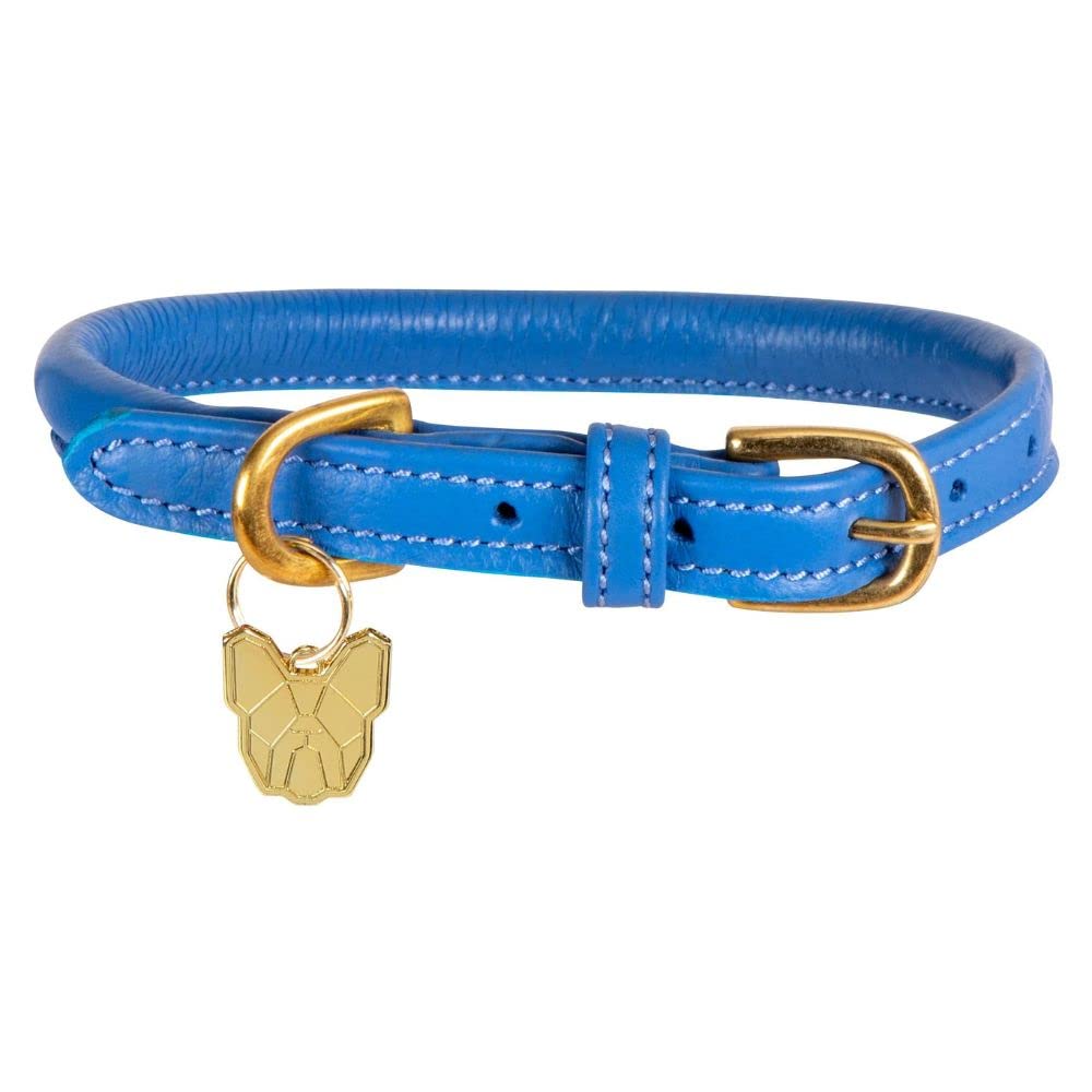 Digby & Fox Rolled Leather Dog Collar (Medium, Royal)