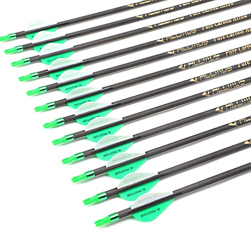 300-Spine Flèche 29-Pouces Flèche Flèches Carbone Flèche Cible Flèche de Chasse Arc à Poulies Arc Recurve Adulte Jeunesse Tir à l’Arc Entraînement 24pcs Style1 Cover