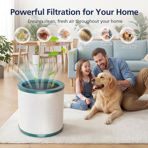 Image of TP01 Filter Replacement HEPA Air Filter Compatible with Dyson Tower Purifier Pure Cool Link TP01, TP02, TP03, AM11, BP01 Models, Replace Part 968126-03 (1 Pack)