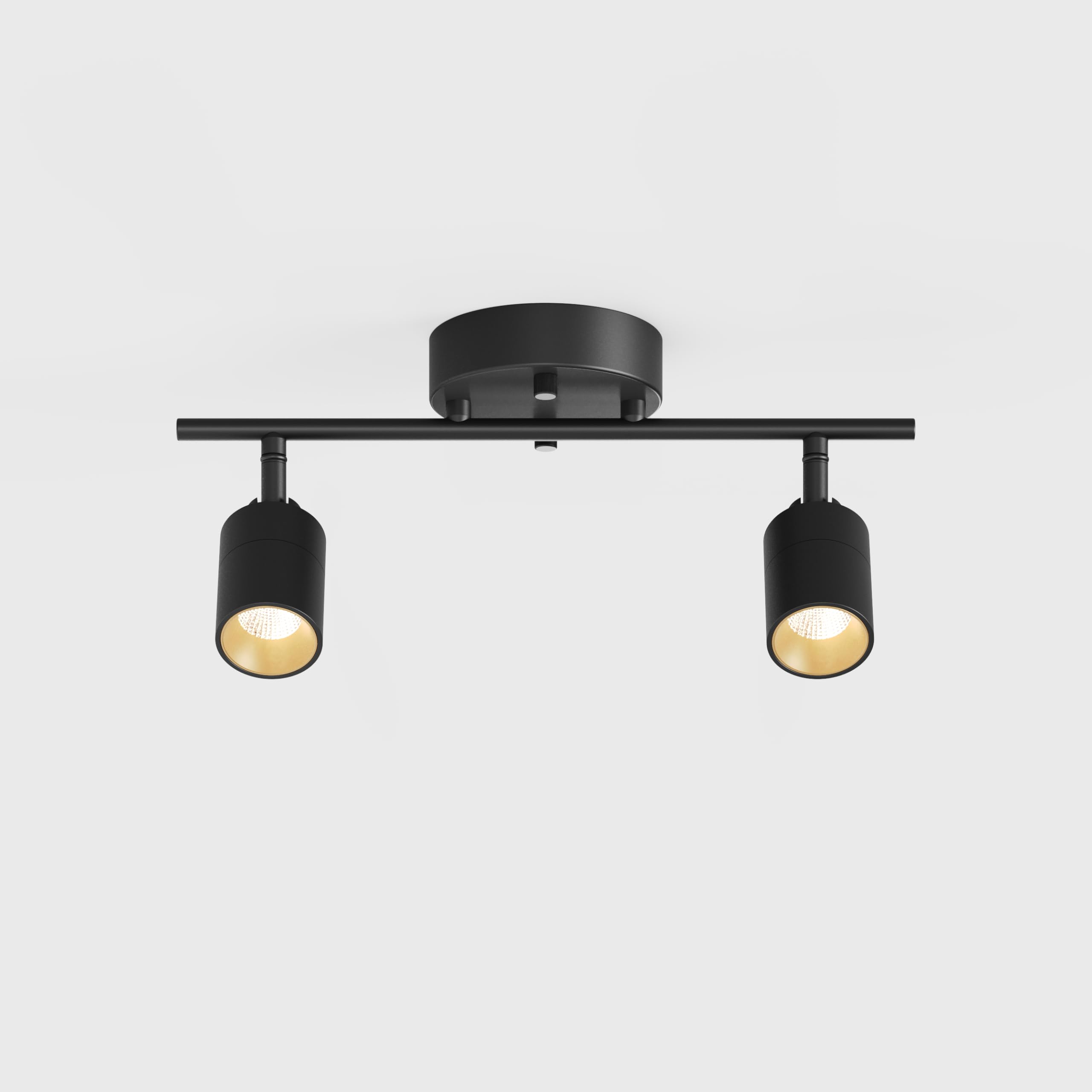 VidaLite Shura Black 2-Light Track Light w/Adjustable Heads