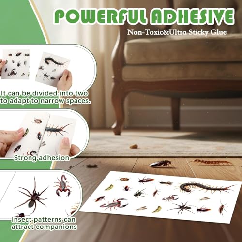 Image of Qualirey 30 Pcs Spider Traps Indoor Roach Bug Ant Cricket Insect Sticky Traps Adhesive Cockroach Rat Mice Glue Boards for House Kitchen Bathroom Basement Garage(Tearable Style)