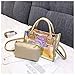 Women Transparent Shoulder Crossbody Bag, 2 in 1 Designer Fashion Handbag Tote Purse Waterproof Summer Beach Bag Satchel, Laser-Gold