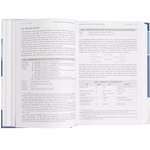 Image of Going Deeper with Biblical Hebrew: An Intermediate Study of the Grammar and Syntax of the Old Testament