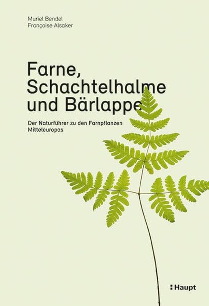 Farne, Schachtelhalme und Bärlappe: Der Naturführer zu den Farnpflanzen Mitteleuropas