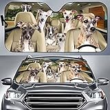 🐢 Pare-soleil de voiture de protection solaire : Drôle de roman pare-soleil de pare-brise de voiture fait de polyester et de film d'aluminium de bulle de haute qualité matériel épaissi, Bloque la plupart des rayons UV et de la chaleur. Équipé de 4 ventouses, un côté a une bande élastique pour le stockage, et l'extrémité supérieure a deux petits trous, ventouse fixe.