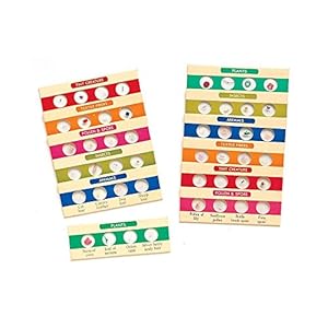 Learning Resources LER2041 Mikroskop-Objektträger Sets 1 & 2