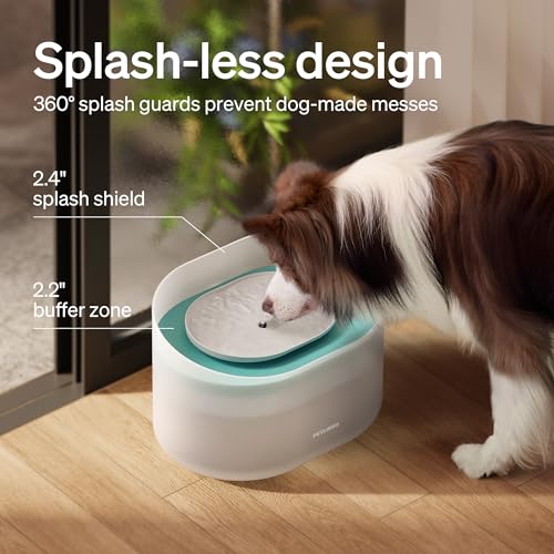 Petlibro PLWF008 Dog Water Fountain, 2.1Gal/8L Capsule Dog Fountain thumb #1