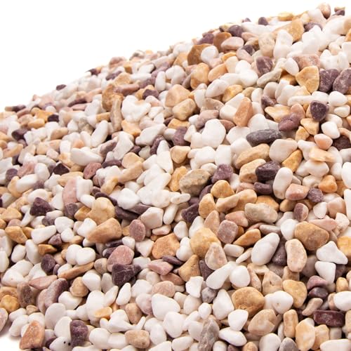 Image of 18 Pounds Natural Pea Gravel Pebbles,Small Rocks,Decorative Rocks for Succulents,Aquarium Gravel,Vase Filler,Plants