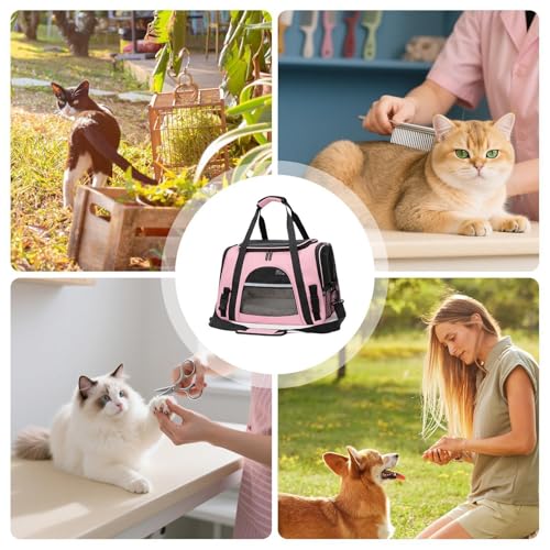 Bolsa para cachorros portátil que alivia el cansancio en excursiones 5
