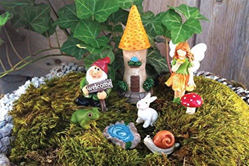 Amazon.com: C&F Home Fantasy Miniature Gnome Village Set/8 : Home