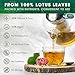FreshDrinkUS, Premium 75 Lotus Leaf Tea Bags, 100% Natural & Pure from Lotus Leaves. Loose Leaf Lotus Herbal Tea. Made with Eco-Conscious Tea Bags. No Sugar, No Caffeine, No Gluten, Vegan.