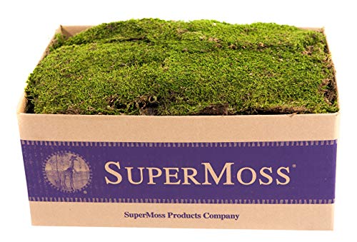 DECOALIVE Musgo Natural PREMIUM 1/2Kg Musgo Preservado para Decoración