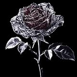Ruby Darkrose Music