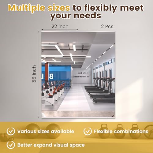 Image of LOAAO Home Gym Mirror 56 inchx22 inch, 2 PCS