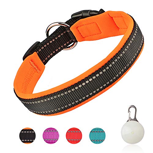 Basic Dog Collar Adjustable Breathable Soft Neoprene Padded Reflective Strap Large Small Dog Collars Lightweight Puppy Collar with Dog Light for Walking/Running/Training - Orange - L