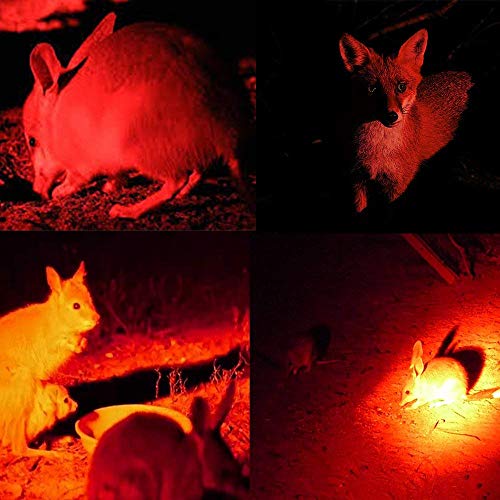 Bestsun 350 Yard Red Light Predator Light Zoomable Long Range Night Hunting Coyote Varmint Light Tactical Hunting Led Flashlight With Pressure Switch, Picatinny & Scope Mounts, Rechargeable Batteries #TOP3