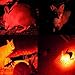 BESTSUN 350 Yard Red Light Predator Light Zoomable Long Range Night Hunting Coyote Varmint Light Tactical Hunting Led Flashlight with Pressure Switch, Picatinny & Scope Mounts, Rechargeable Batteries