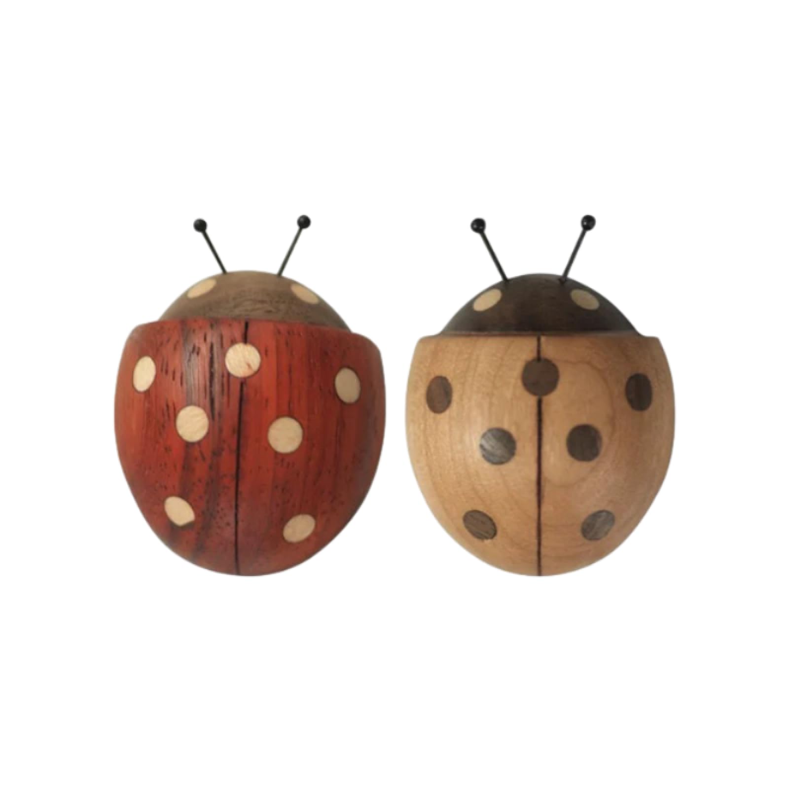 Lindos imanes decorativos paquete de 2 pares de madera maciza caricatura escarabajo siete estrellas mariquita imán refrigerador micro paisaje bonsái