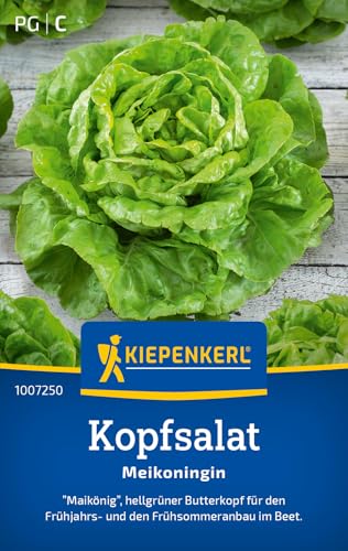 Kiepenkerl Kopfsalatsamen Meikoningin 1007250 - Robuste Gemüsesamen Salatsamen für Frühjahr und Frühsommer geeignet für Frühbeet oder Folientunnel