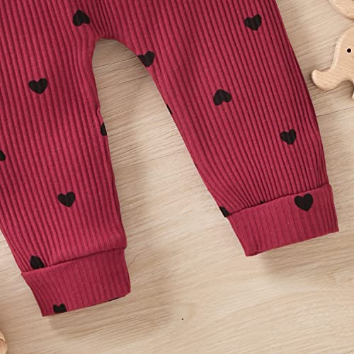 Aalizzwell Newborn Infant Baby Girls Clothes Ribbed Heart Short Sleeve Spring Summer Outfits Valentines Wine Red 0 - 3 Months #TOP5